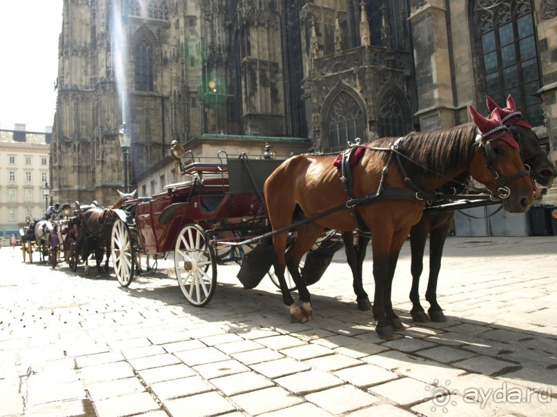 Путешествие по Австро-Венгрии.