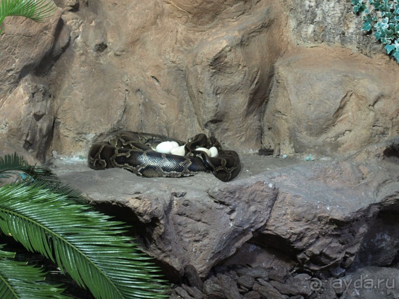 Путешествие по Австро-Венгрии.