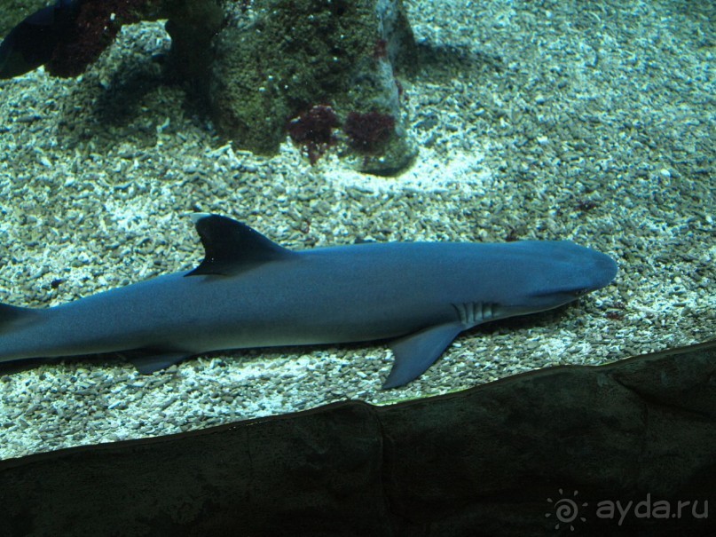 Путешествие по Австро-Венгрии.