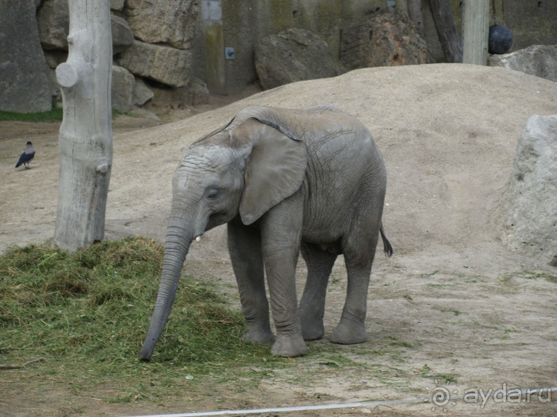Путешествие по Австро-Венгрии.