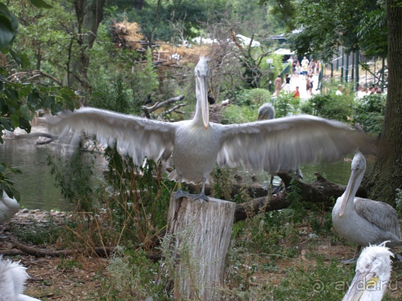 Путешествие по Австро-Венгрии.
