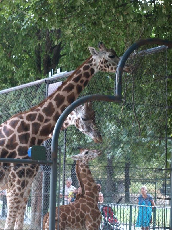 Путешествие по Австро-Венгрии.