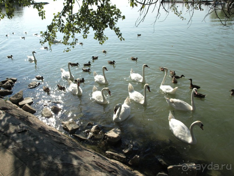 Путешествие по Австро-Венгрии.