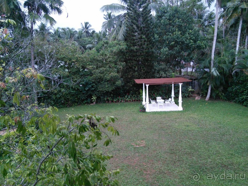  Отличный отель для отдыха после / перед  долгим перелетом или делового пребывания в Шри-Ланке.