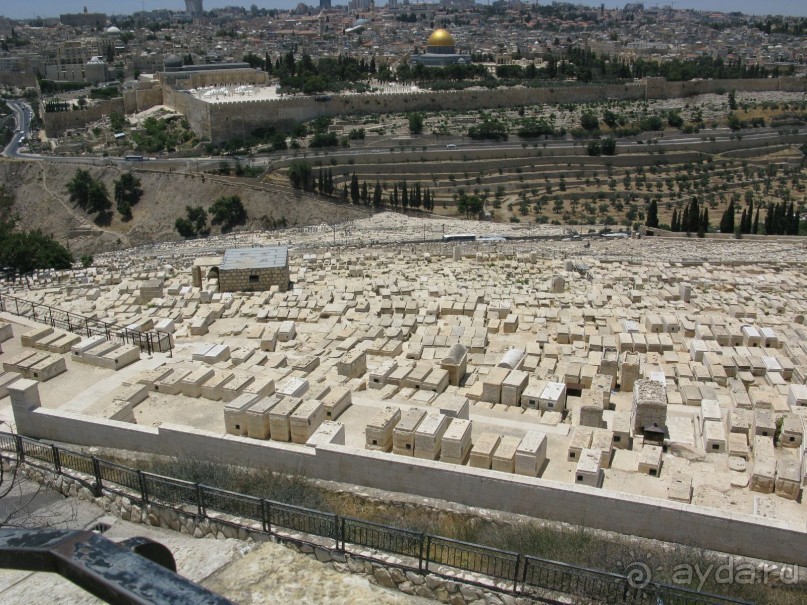 Земля обетованная...