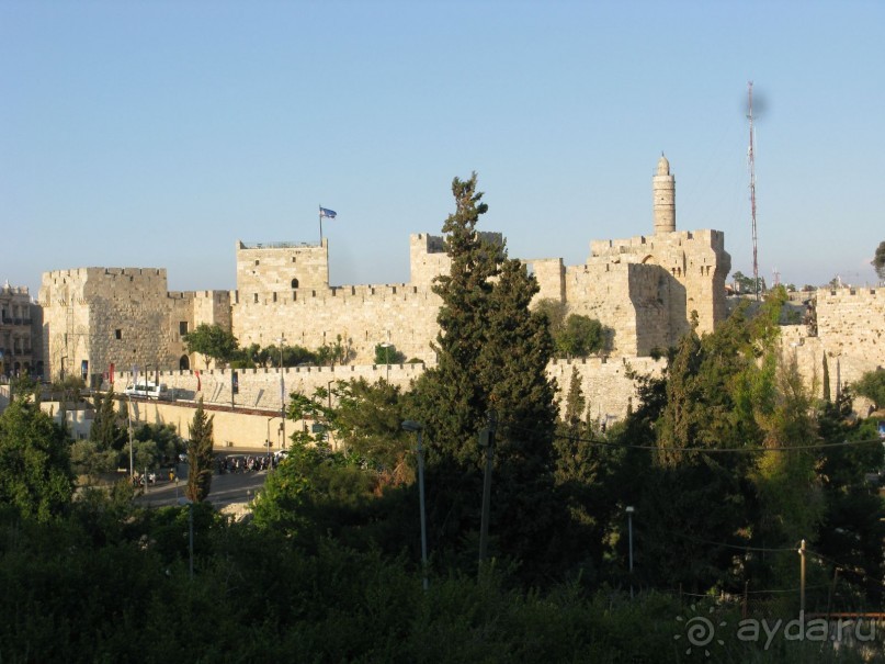 Земля обетованная...