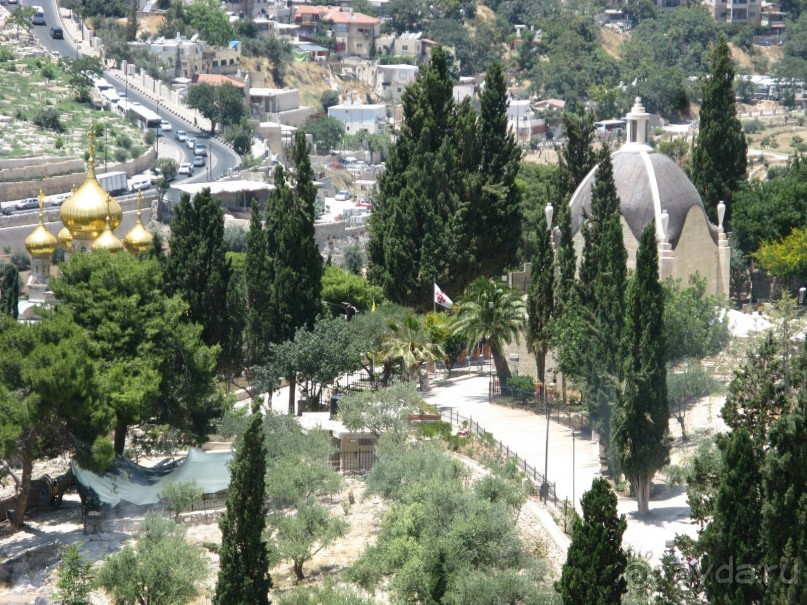 Земля обетованная...