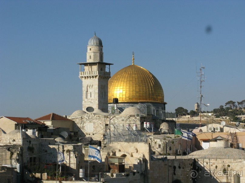 Земля обетованная...