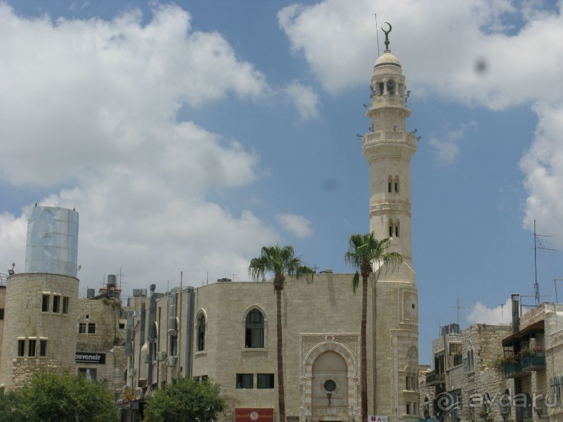 Земля обетованная...