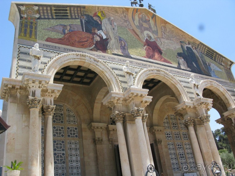 Земля обетованная...