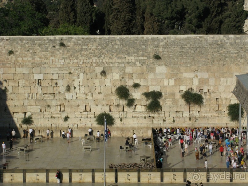 Земля обетованная...