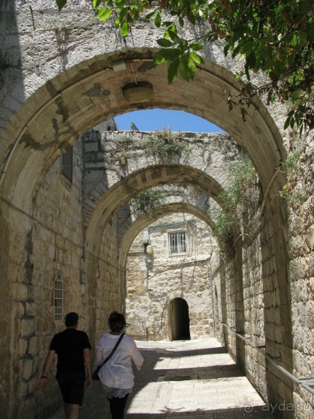 Земля обетованная...