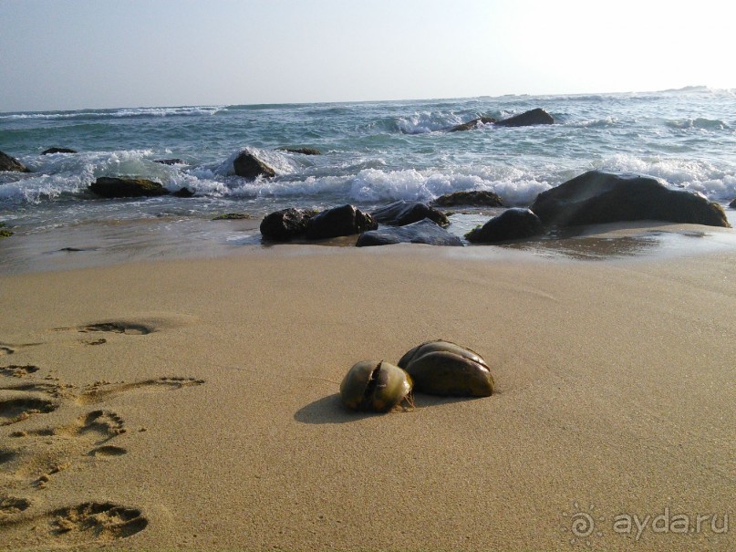 Плюсы и минусы