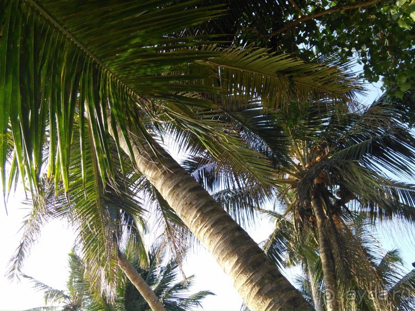 Плюсы и минусы