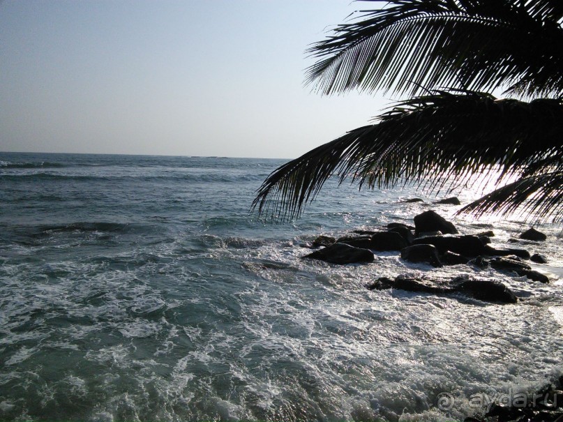 Плюсы и минусы