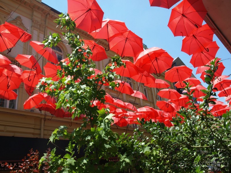 Я открываю Балканы.