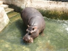 Я открываю Балканы.