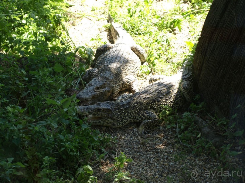 Я открываю Балканы.