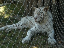 Я открываю Балканы.