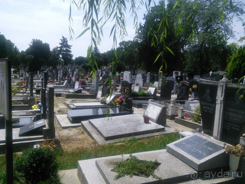 Я открываю Балканы.