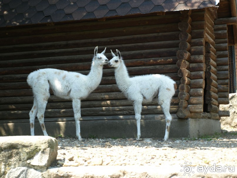 Я открываю Балканы.