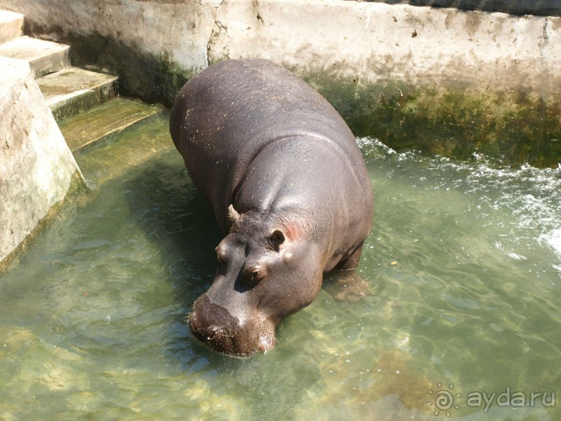 Я открываю Балканы.