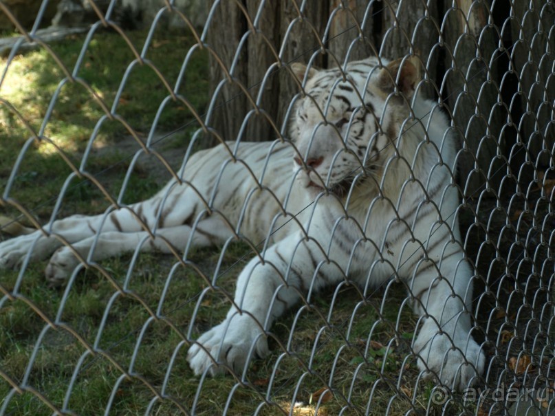 Я открываю Балканы.