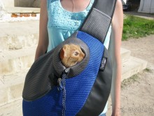 Сказка-быль да в ней намек... (Переславль-Залесский - Ростов Великий - Ярославль)