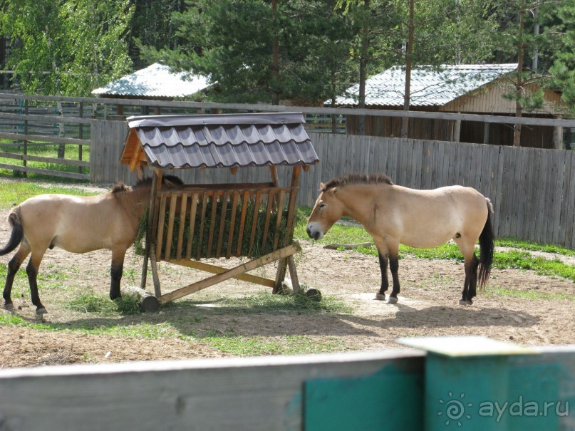 Сказка-быль да в ней намек... (Переславль-Залесский - Ростов Великий - Ярославль)