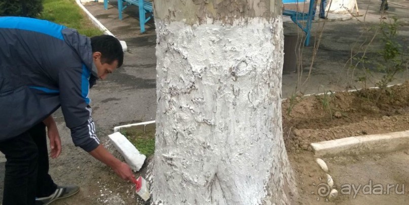 В преддверии Навруза, в предвкушении сумаляка