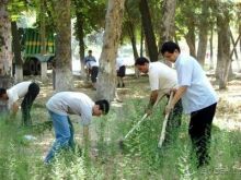 В преддверии Навруза, в предвкушении сумаляка