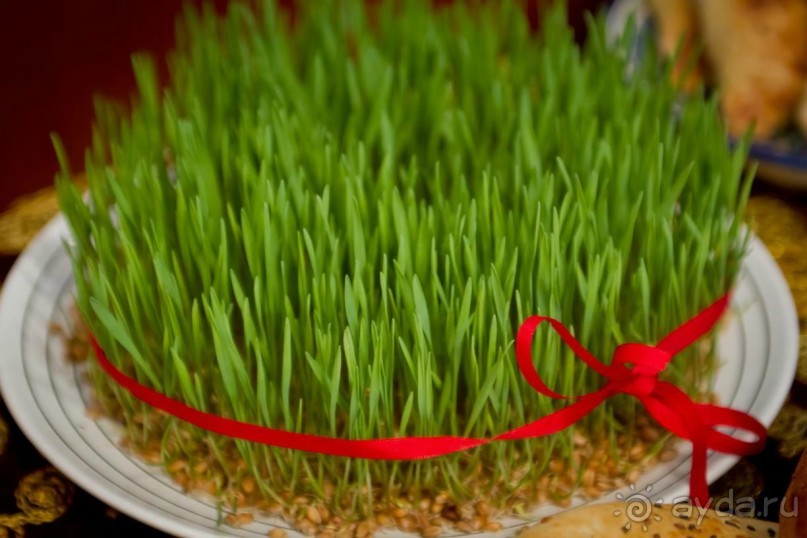 В преддверии Навруза, в предвкушении сумаляка