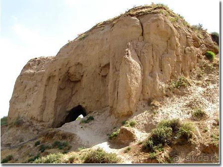 Жемчужина Самарканда