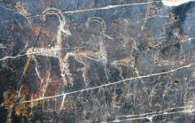 Кызылкум – «терра инкогнита»