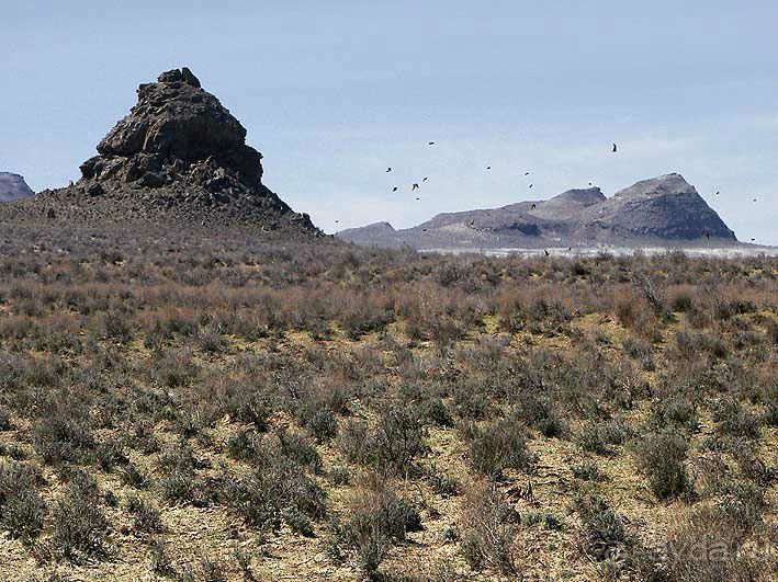 Кызылкум – «терра инкогнита»