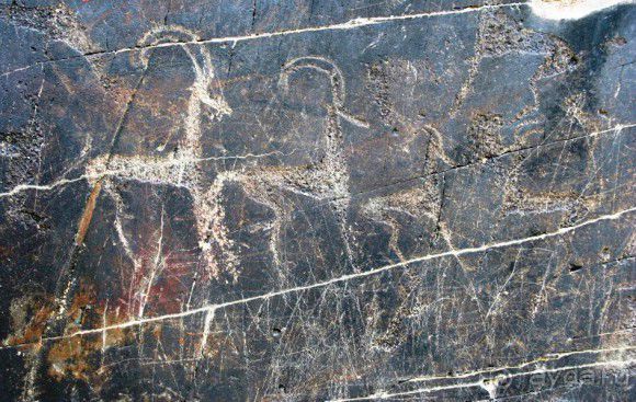 Кызылкум – «терра инкогнита»