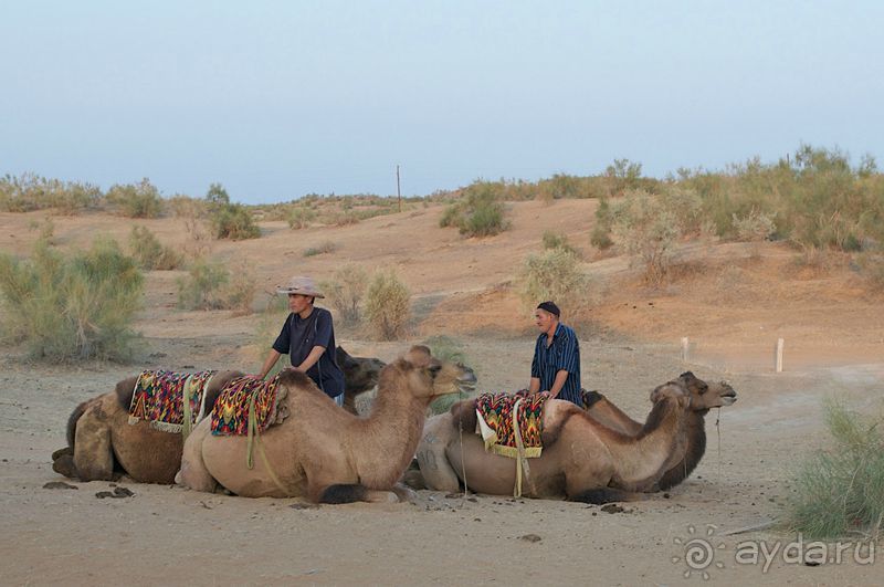 Кызылкум – «терра инкогнита»