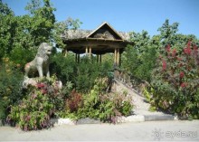 Там где жара и песок, пробьется вода и появится оазис