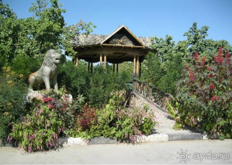 Там где жара и песок, пробьется вода и появится оазис