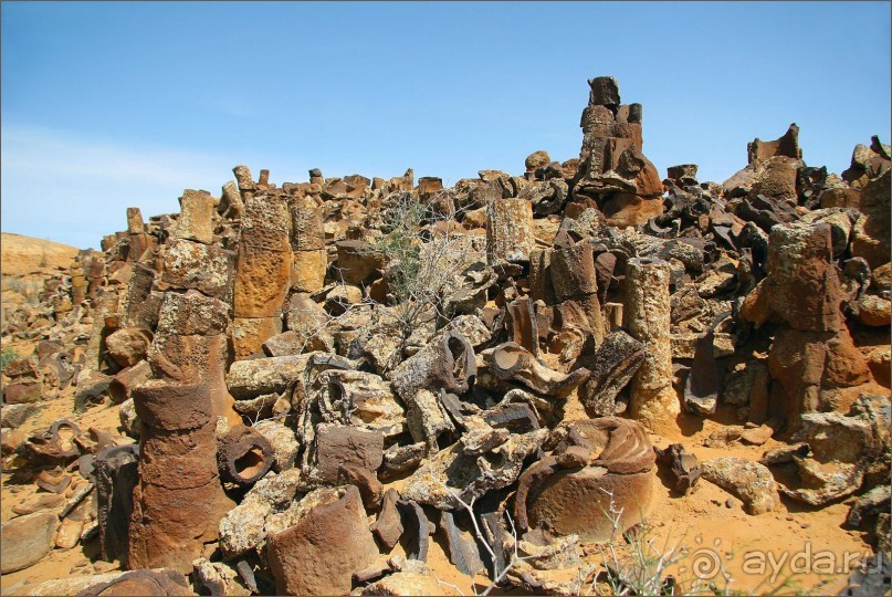«Каменный лес» в сердце Красных песков