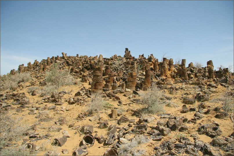 «Каменный лес» в сердце Красных песков