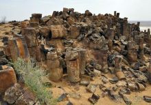 «Каменный лес» в сердце Красных песков