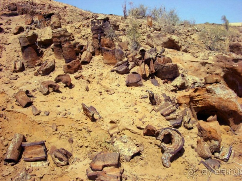 «Каменный лес» в сердце Красных песков