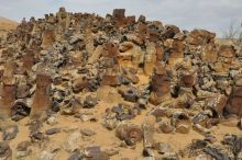 «Каменный лес» в сердце Красных песков