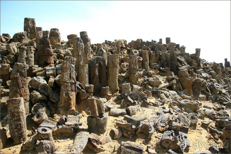 «Каменный лес» в сердце Красных песков