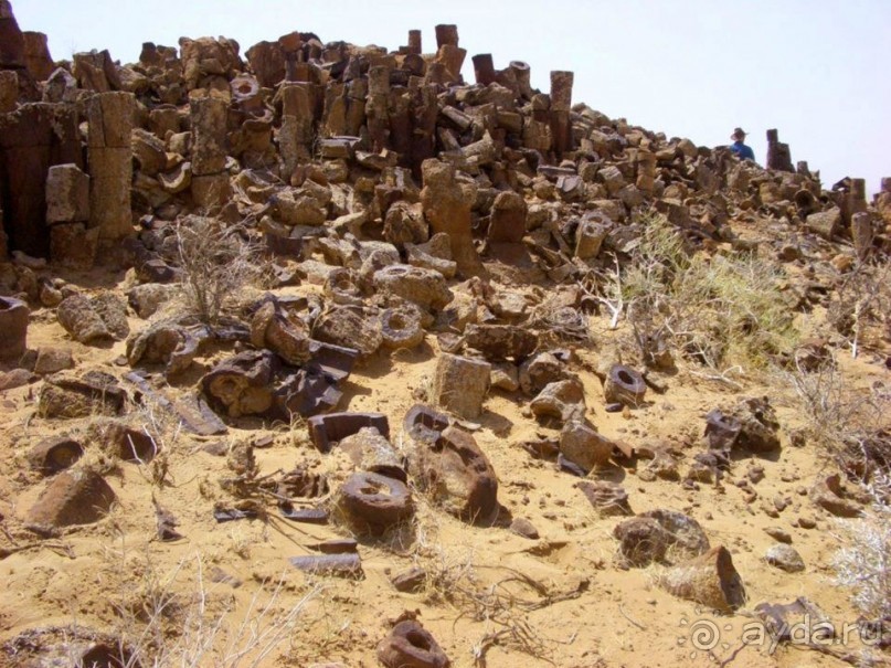 «Каменный лес» в сердце Красных песков