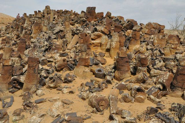 «Каменный лес» в сердце Красных песков