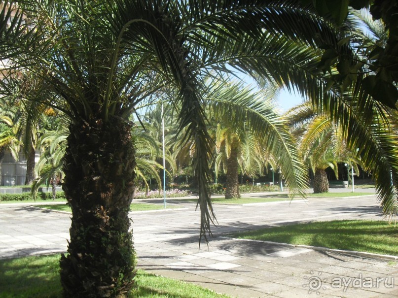 Отличный пансионат