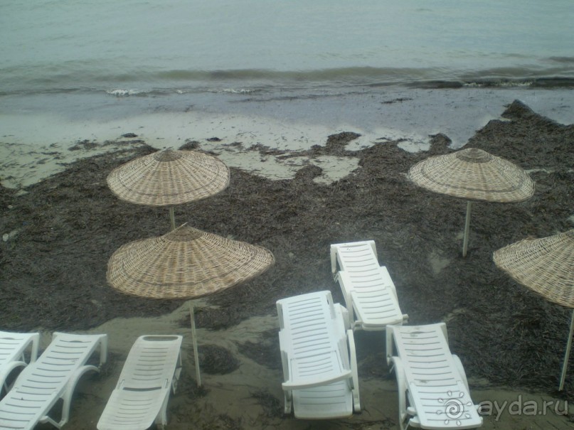 Неплохой отель