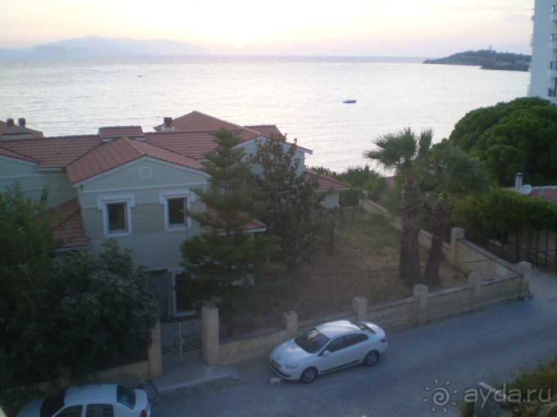 фото Arora Hotel